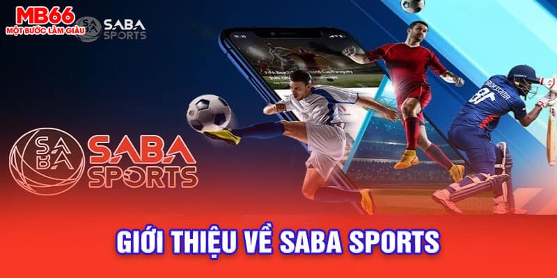 thể thao Saba Sports mb66