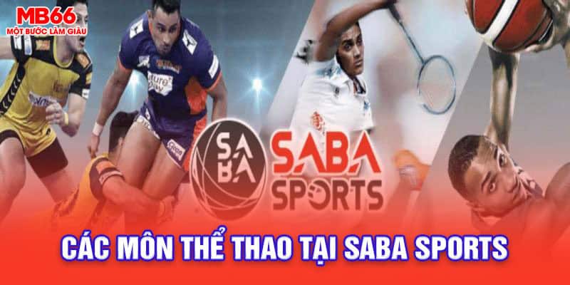 thể thao Saba Sports mb66