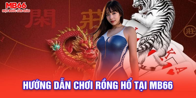 rồng hổ